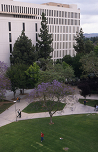 HSS Building