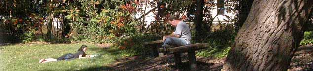 Two students study independently in Alumni Grove.