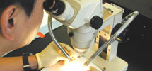 Student looking in a microscope